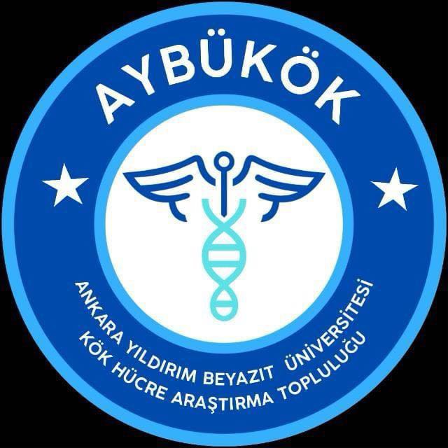 Kök Hücre Araştırma Topluluğu